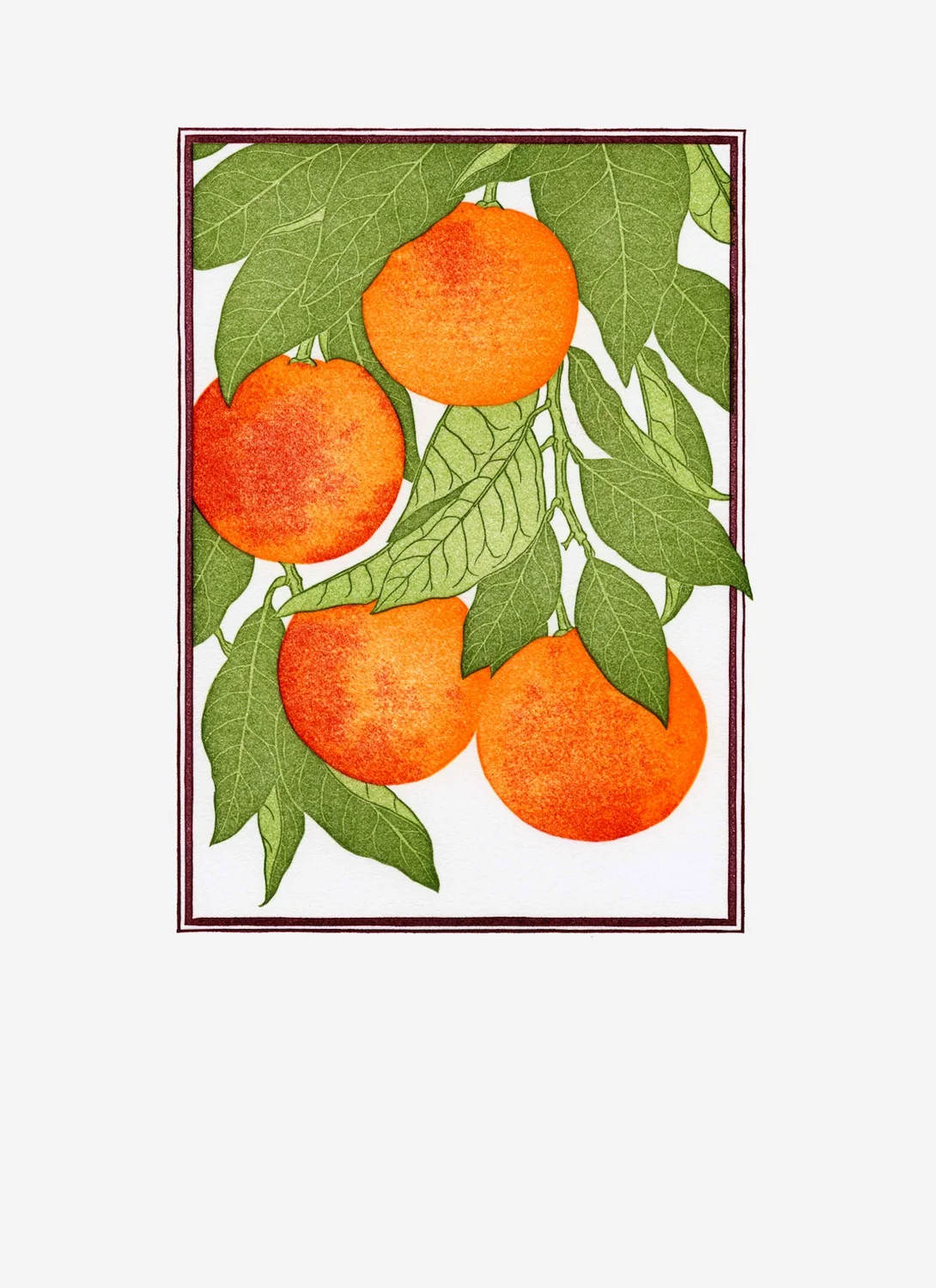 Fruit Prints — Patricia Curtan